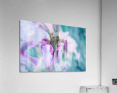 Libelulla Acrylic Print