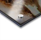 Mountains Acrylic print