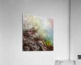 Mountain Heights Acrylic Print