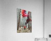 forest giant betta fish Acrylic Print