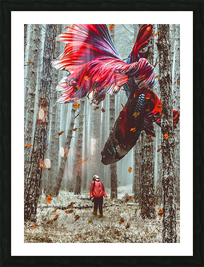 forest giant betta fish Picture Frame print