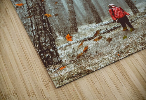 forest giant betta fish Gen Z puzzle