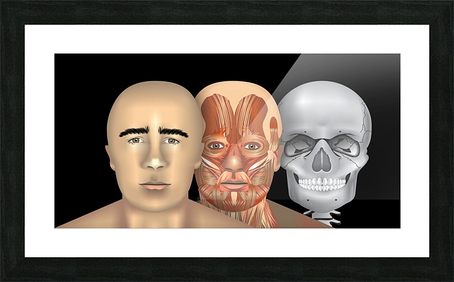 HUMAN Picture Frame print