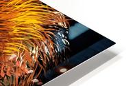 LION HEAD HD Metal print