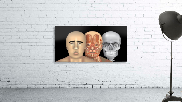 HUMAN Wall Preview