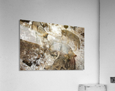 Sibling Rivalry Acrylic Print