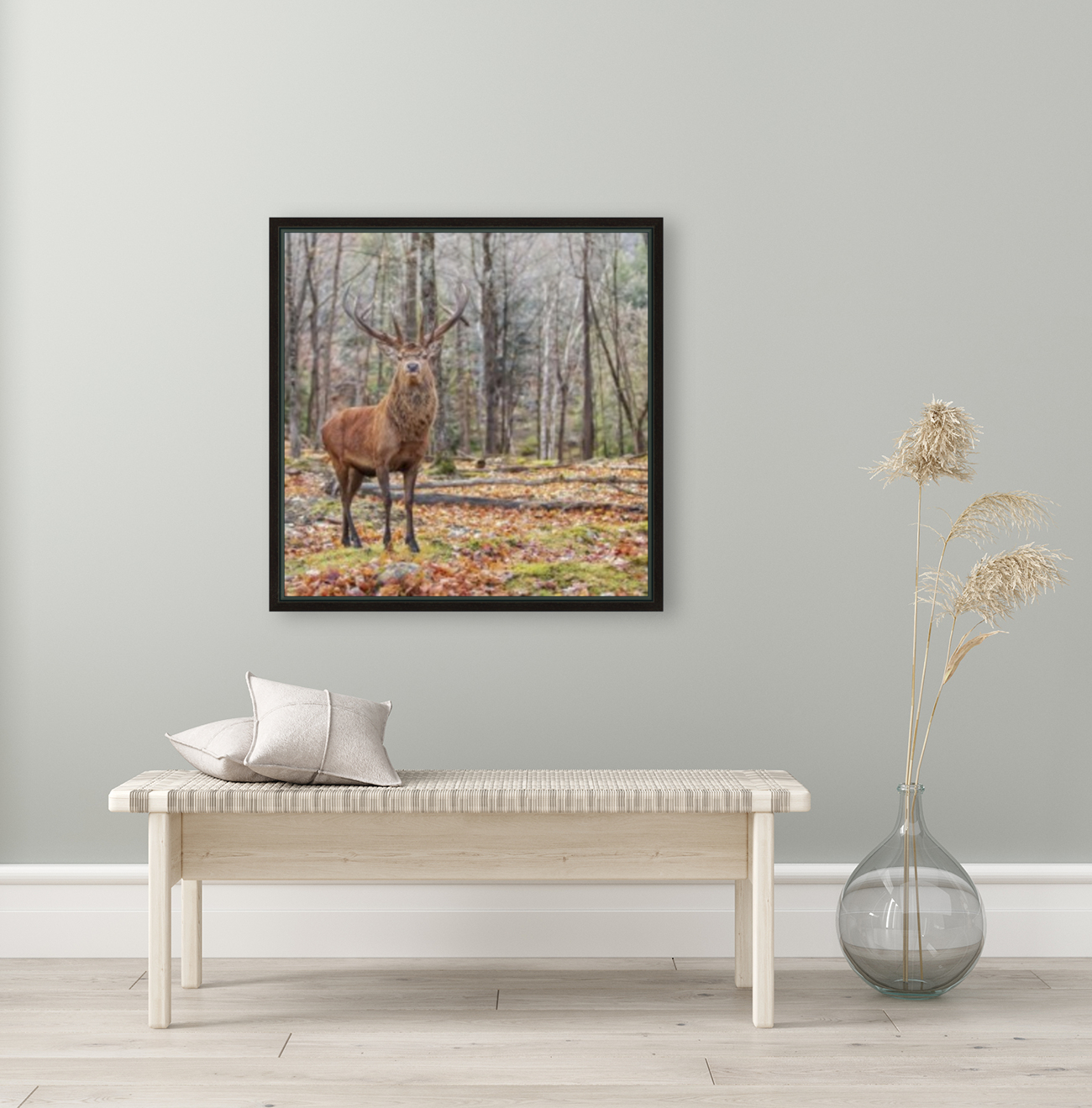 Red Deer Reproduction