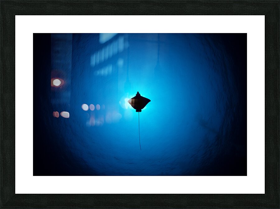Siluete Picture Frame print