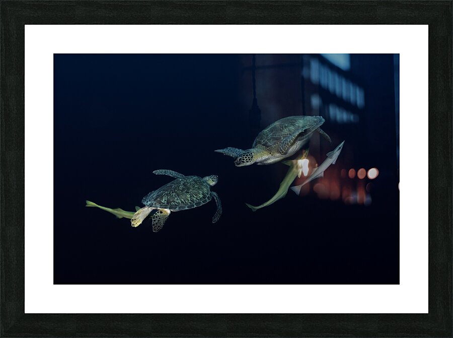 Encuentro Picture Frame print