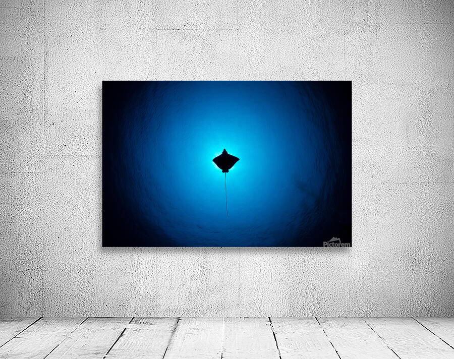 Siluete Wall Preview