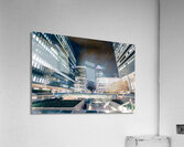 IMG 8460 Acrylic Print