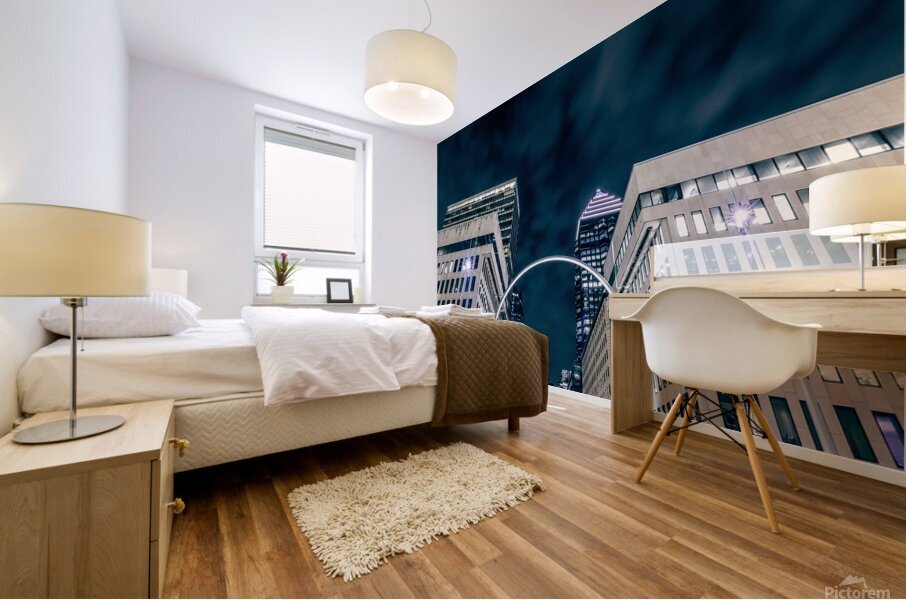 IMG 8470 Mural print