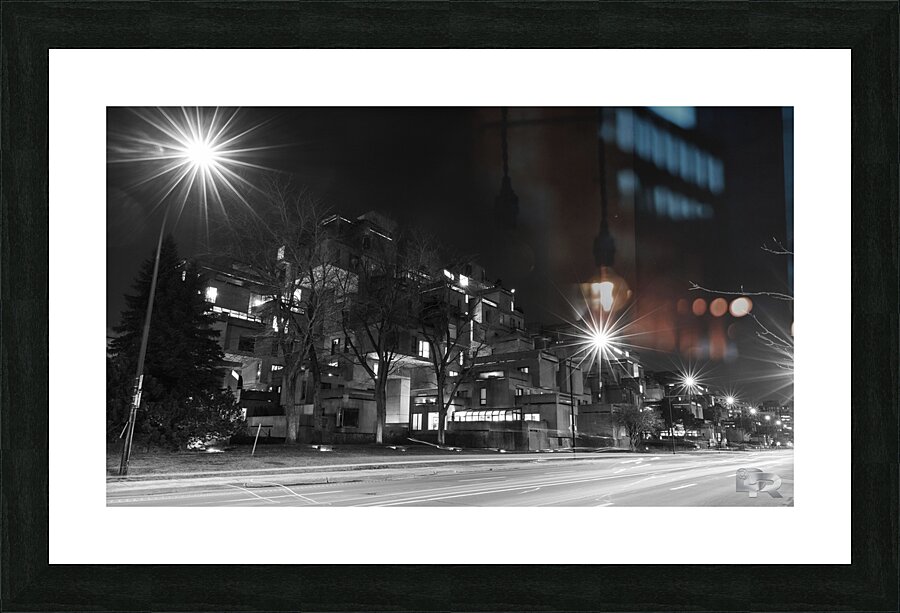 IMG 1826 Picture Frame print