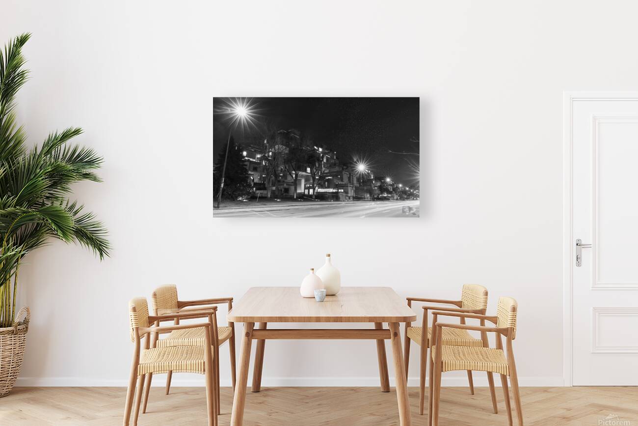 IMG 1826 Reproduction