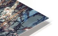 1 HD Metal print