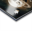 Celebrity Space Trip Acrylic print