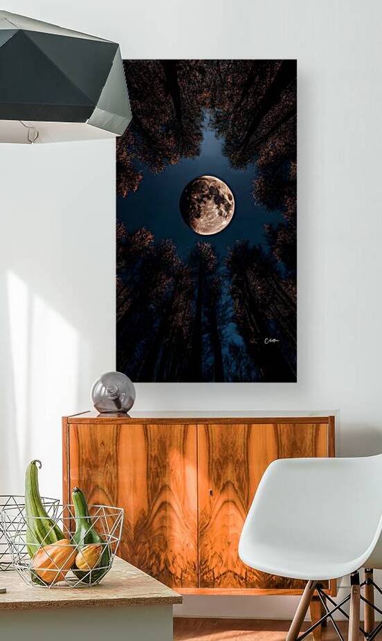 Endless lunar beauty captured from every angle Which moonlit view speaks to your soul the most   by celistima