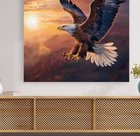 Bald Eagle by samo styel