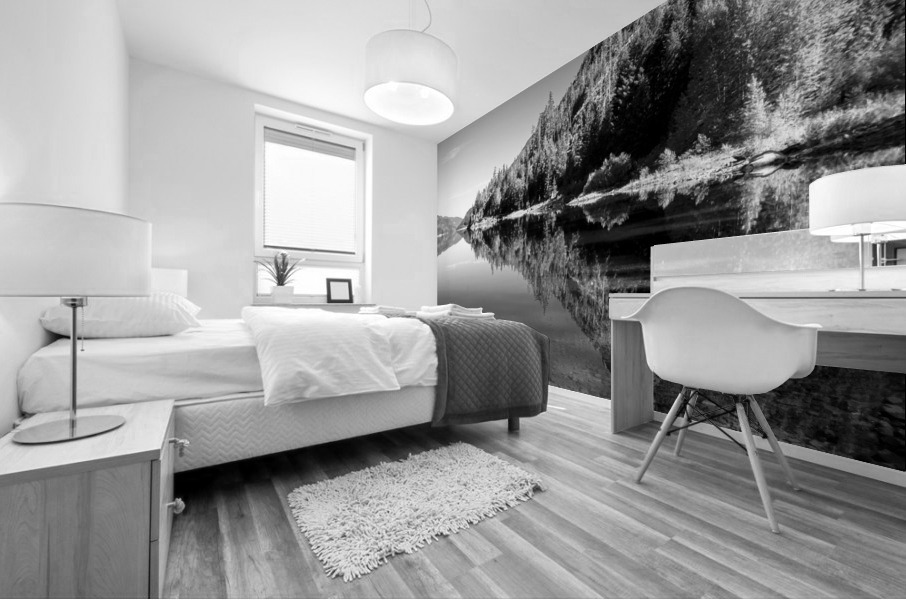 Buttle Lake Mural print