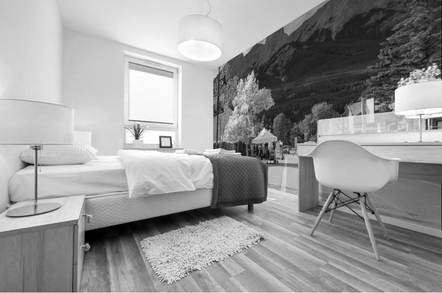 Canmore Mural print