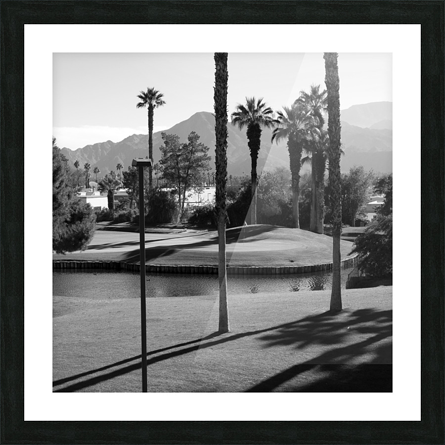 Palm Desert 01 Picture Frame print