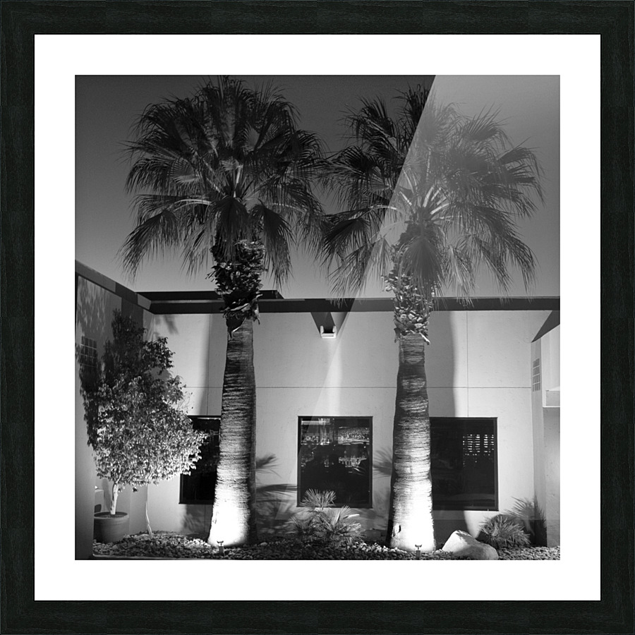 Palm Desert 02 Picture Frame print