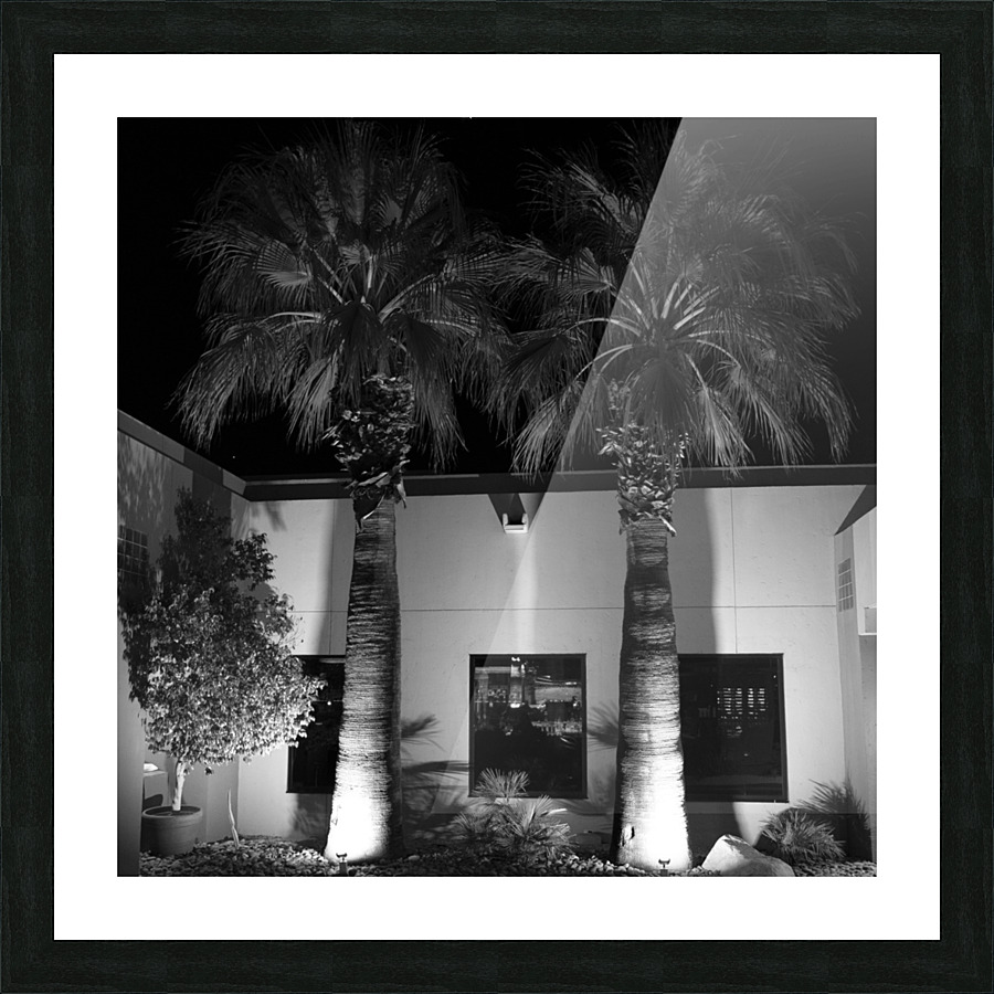 Palm Desert 03 Picture Frame print