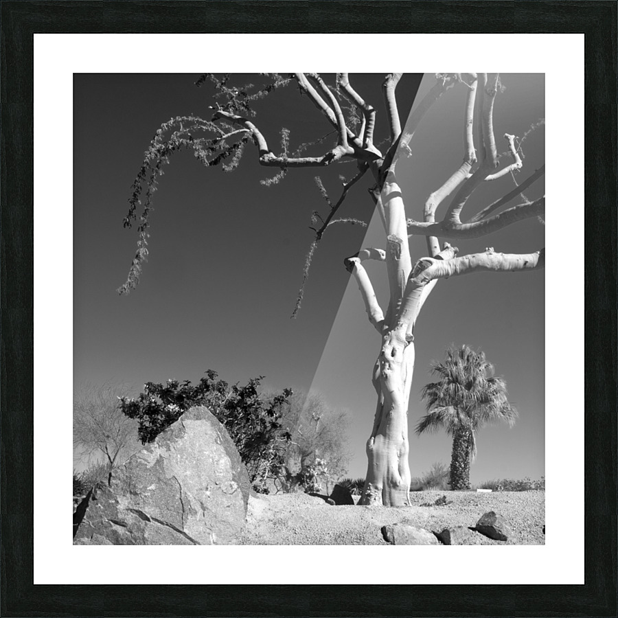 Palm Desert 05 Picture Frame print