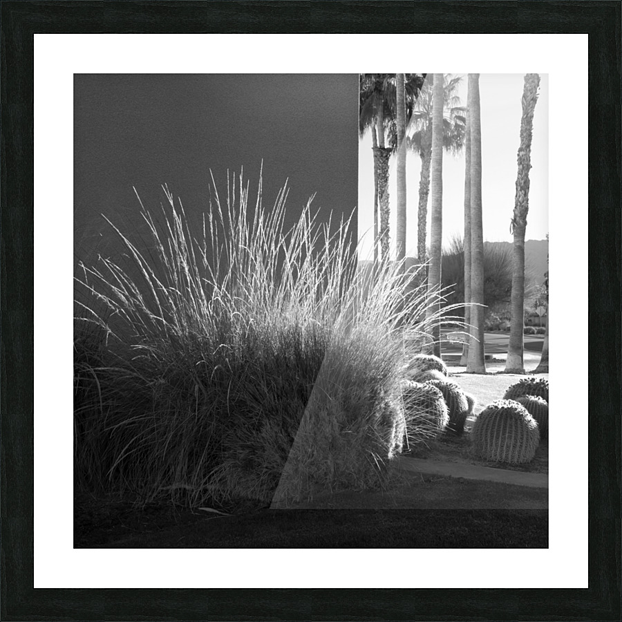Palm Desert 07 Picture Frame print