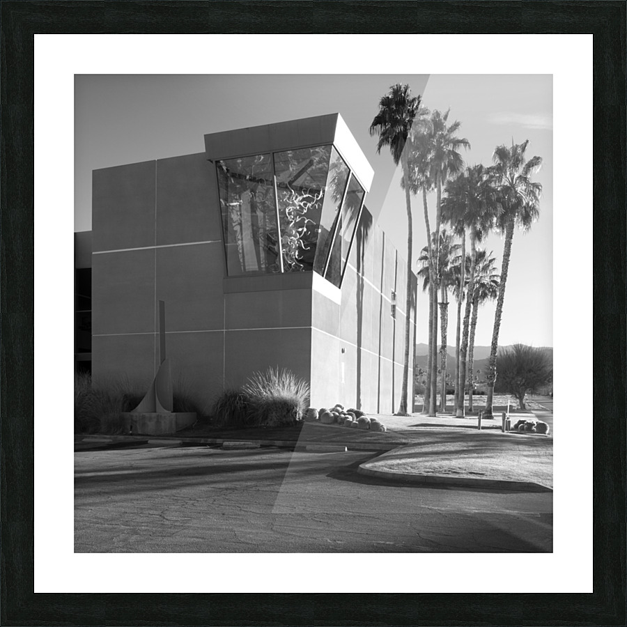 Palm Desert 08 Picture Frame print