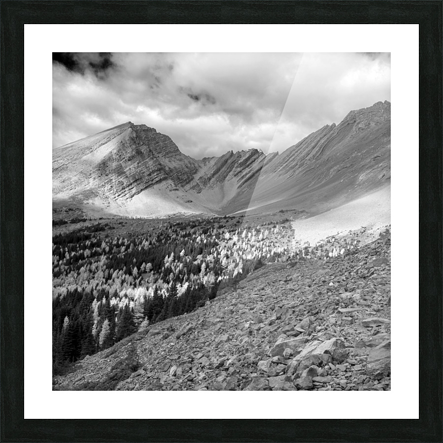 Arethusa Cirque 03 Picture Frame print