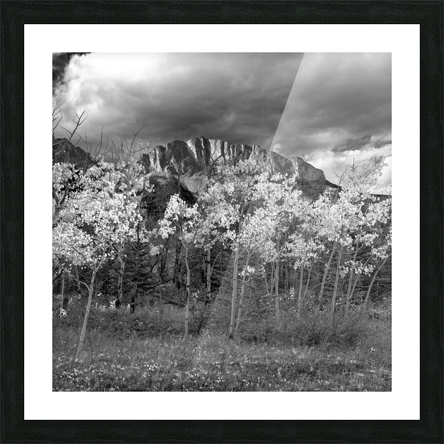 Sawback Range 01 Picture Frame print