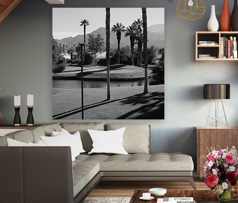 Palm Desert 01 Reproduction