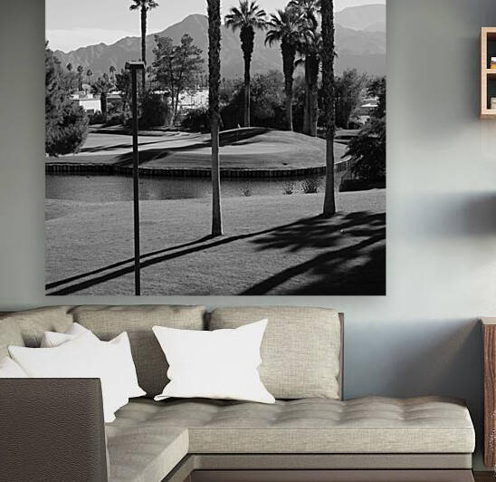 Palm Desert 01 Reproduction