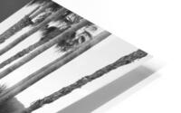 Palm Desert 07 HD Metal print