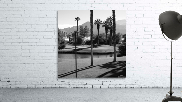 Palm Desert 01 Wall Preview