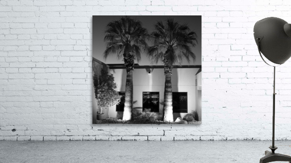 Palm Desert 02 Wall Preview