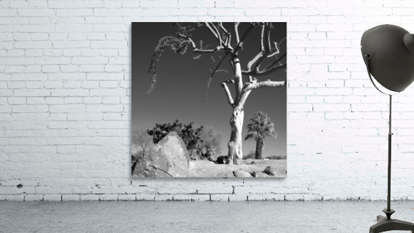 Palm Desert 05 Wall Preview