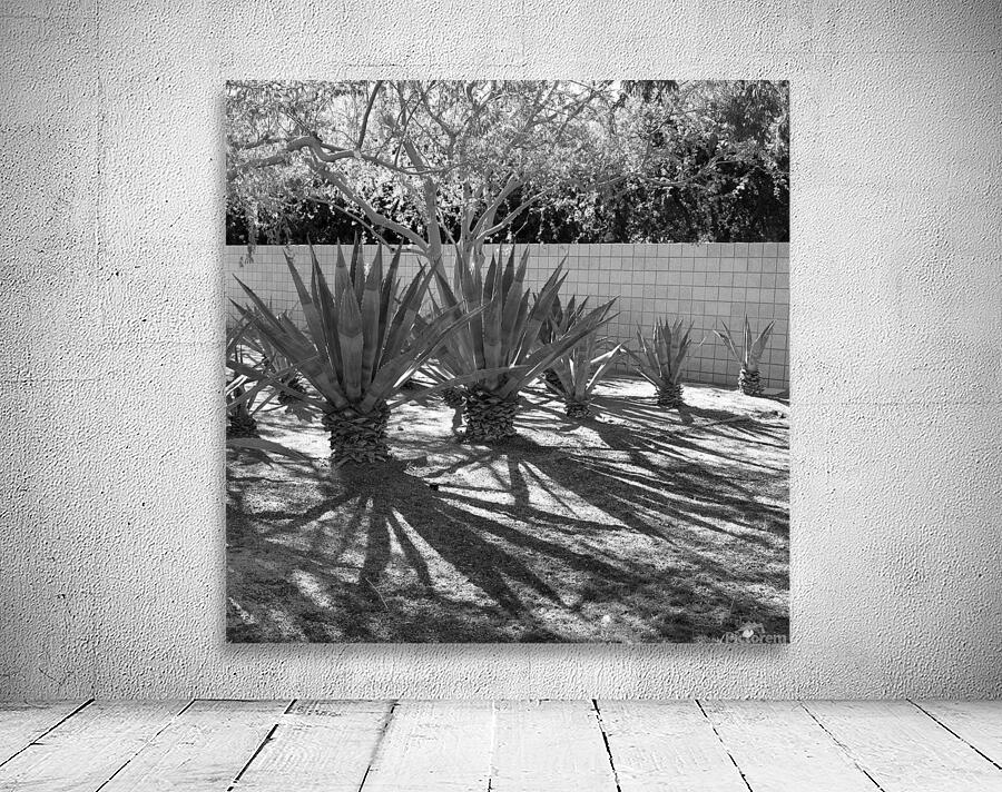 Sunnylands 01 Wall Preview