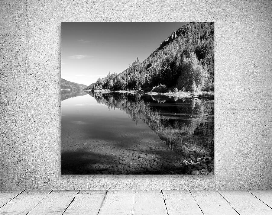 Buttle Lake Wall Preview