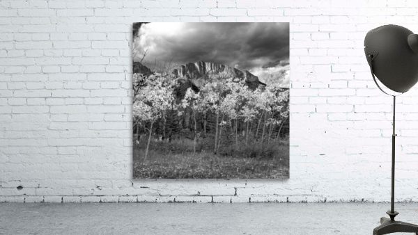 Sawback Range 01 Wall Preview