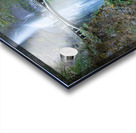Multnomah Falls Acrylic print