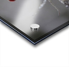 Redpoll Acrylic print