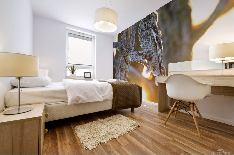 Backlit LEOW  Mural print