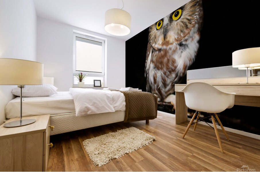 SawWhet Portrait  Mural print