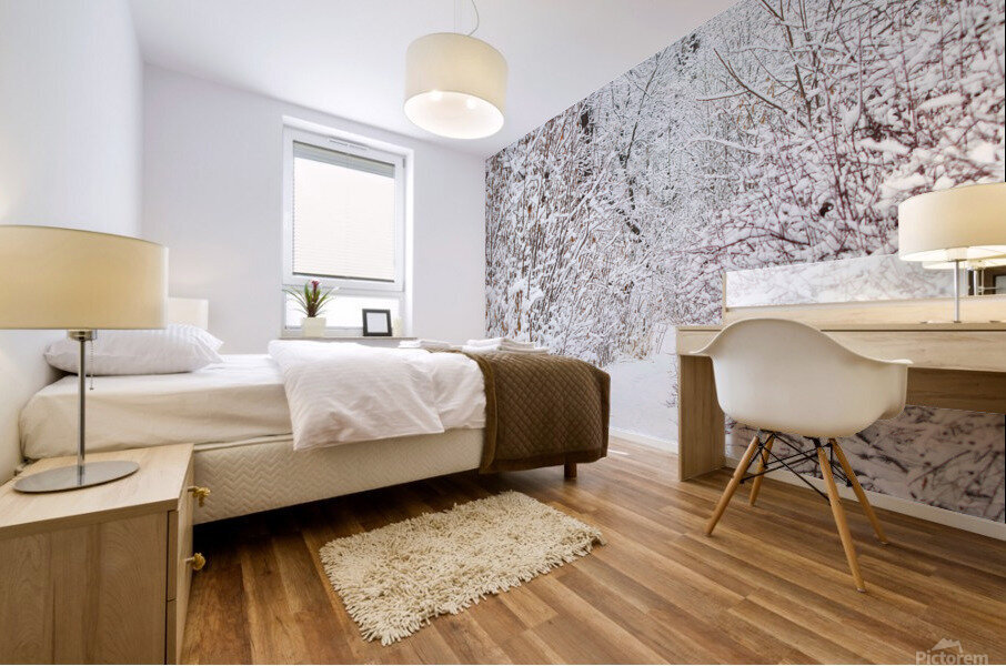 Winter Walkway Mural print