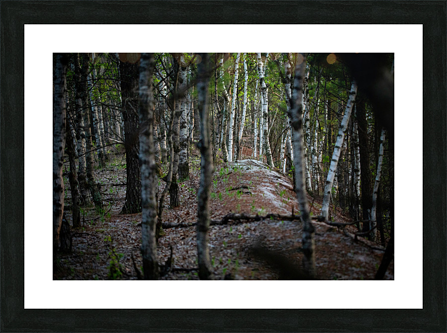 Crosby MN Picture Frame print