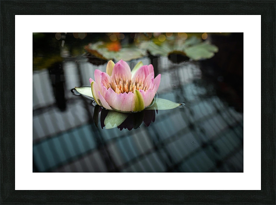 Conservatory Picture Frame print
