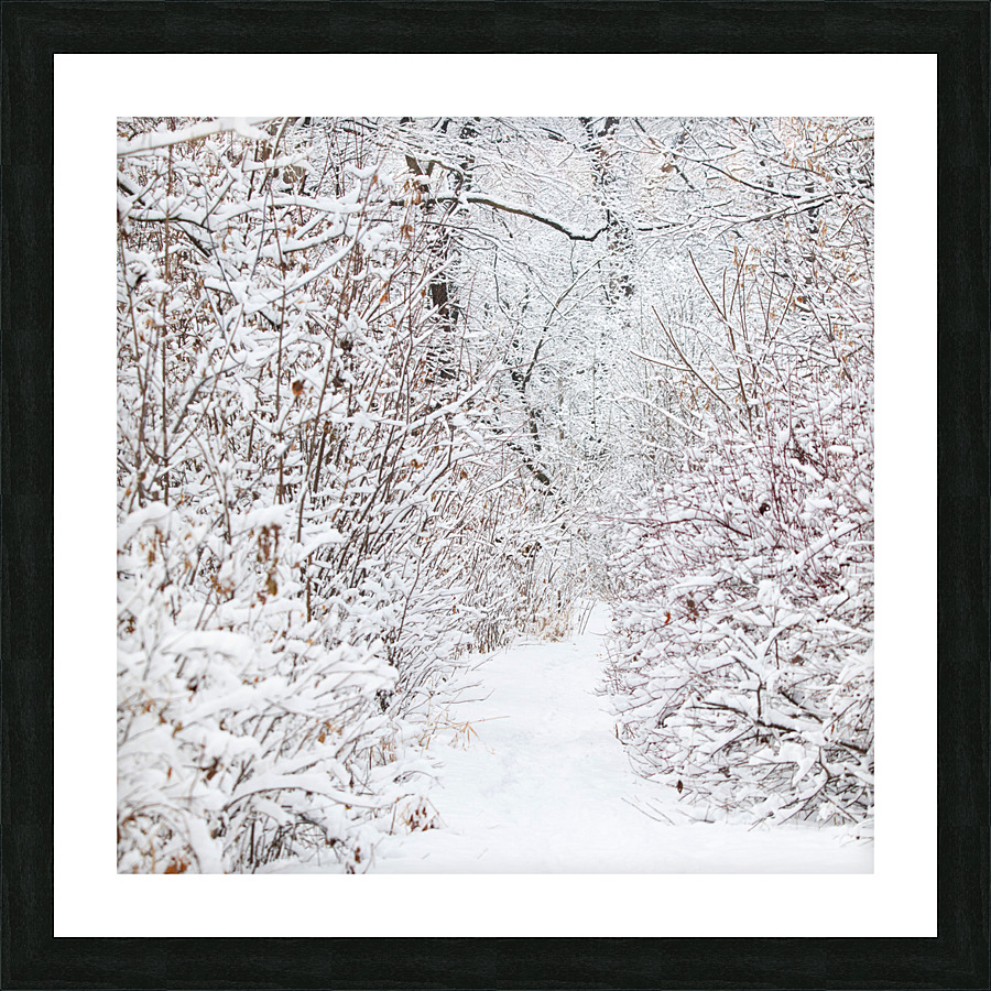 Winter Walkway Picture Frame print