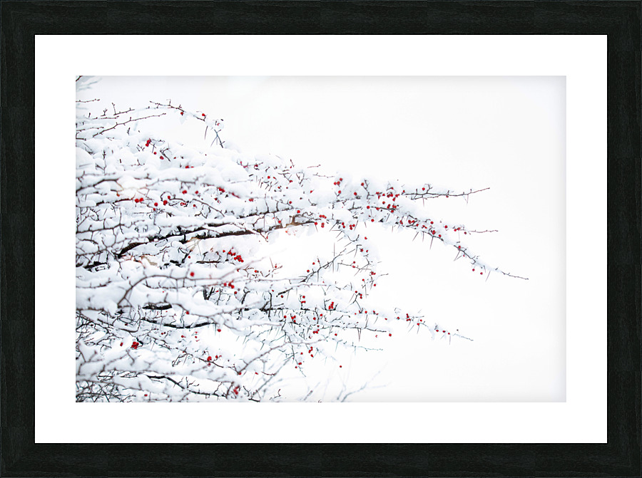 Winter Colors Picture Frame print
